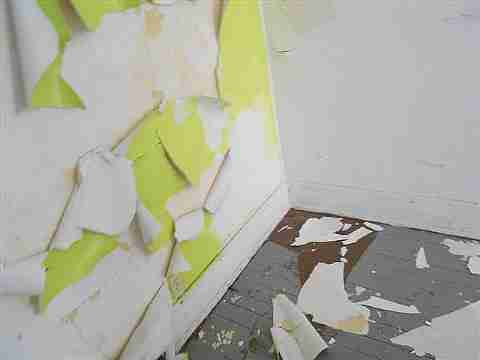 3309 Montgomery (40)_m.jpg